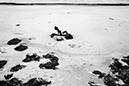 IMG_2084_BW