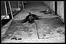 IMG_3460