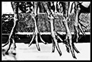 IMG_6926_BW
