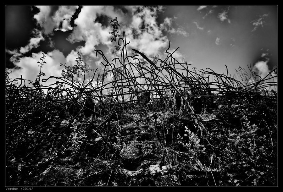 IMG_8707_BW
