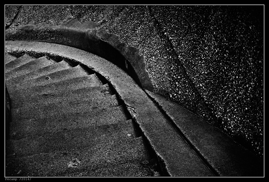 IMG_8886_BW
