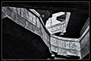 IMG_7033_BW