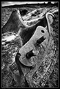 IMG_8698_BW