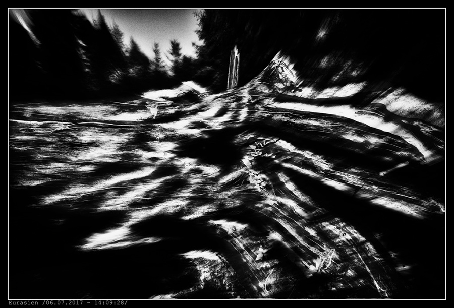 IMG_8979-6980_BW