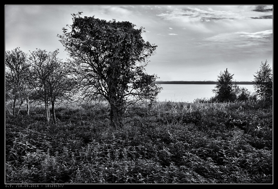 IMG_9708_BW