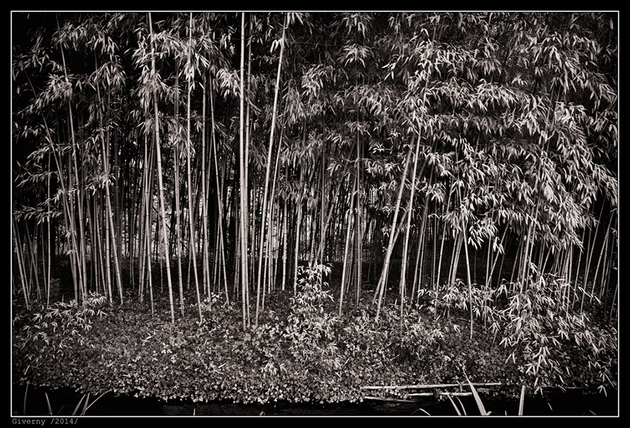 IMG_8777_BW