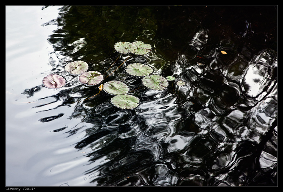 IMG_8809