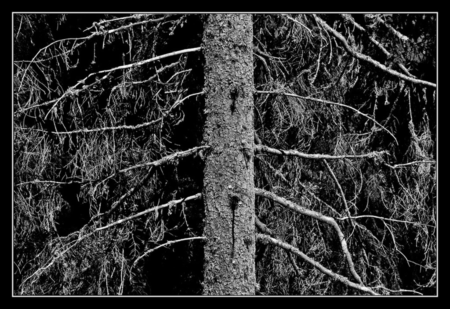 IMG_8671