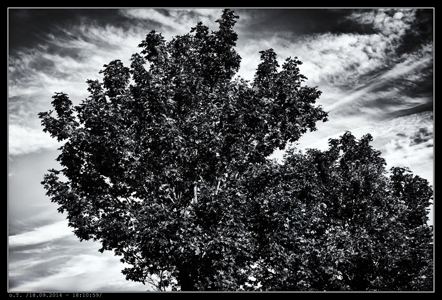 IMG_9702_BW