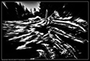 IMG_8979-6980_BW