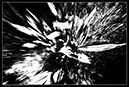 IMG_6983_BW
