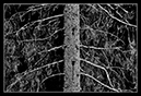 IMG_8671