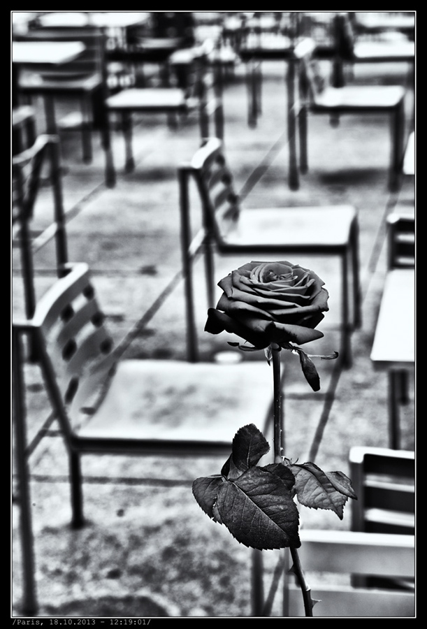 IMG_5988_BW