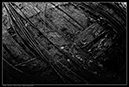IMG_2565