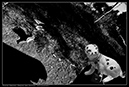 IMG_4489