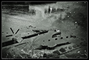 IMG_2237_BW