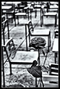 IMG_5988_BW