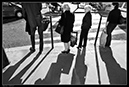 IMG_8282
