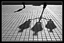 IMG_7237