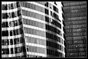 IMG_8206