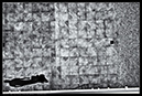 IMG_6363_BW