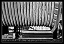 IMG_6141