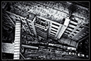IMG_6718_BW