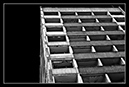 IMG_5468