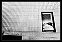 IMG_3594_SW