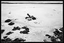 IMG_2084_BW