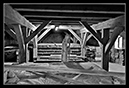 IMG_9931