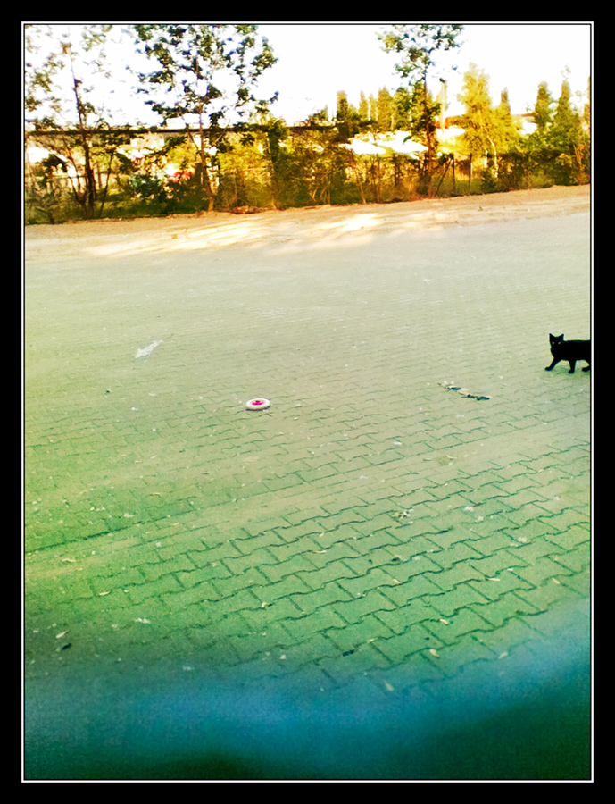 090520_Bild022
